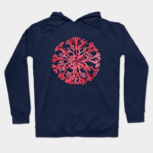 Coral rosette Hoodie